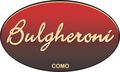 Bulgheroni Logo